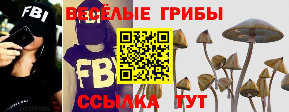 Галлюциногенные грибы Psilocybe Нижнеудинск
